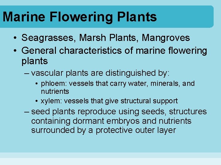 Marine Flowering Plants • Seagrasses, Marsh Plants, Mangroves • General characteristics of marine flowering