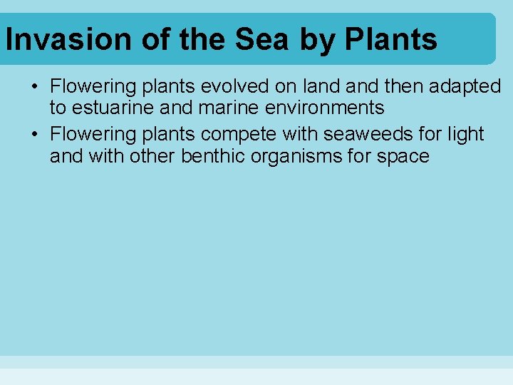 Invasion of the Sea by Plants • Flowering plants evolved on land then adapted