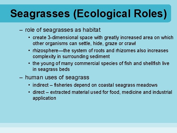 Seagrasses (Ecological Roles) – role of seagrasses as habitat • create 3 -dimensional space