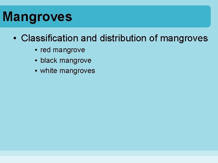 Mangroves • Classification and distribution of mangroves • red mangrove • black mangrove •