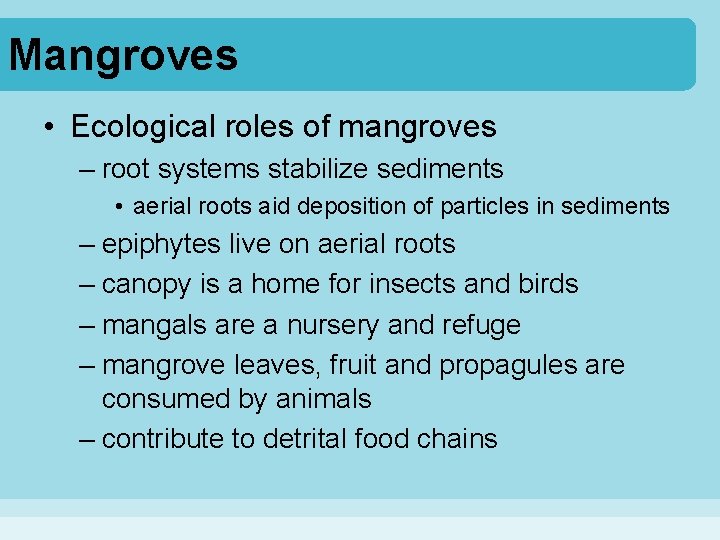 Mangroves • Ecological roles of mangroves – root systems stabilize sediments • aerial roots