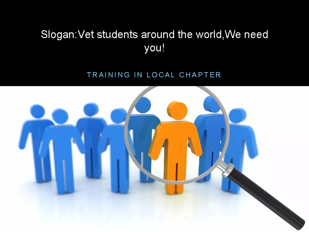 Slogan: Vet students around the world, We need you! TRAINING IN LOCAL CHAPTER 