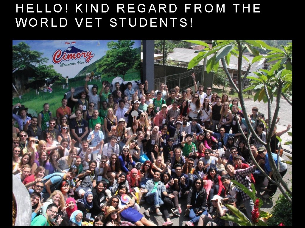 HELLO! KIND REGARD FROM THE WORLD VET STUDENTS! 