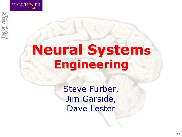 Neural Systems Engineering Steve Furber, Jim Garside, Dave Lester 20 