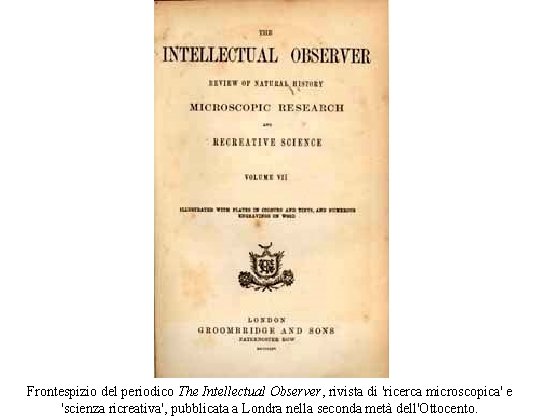 Frontespizio del periodico The Intellectual Observer, rivista di 'ricerca microscopica' e 'scienza ricreativa', pubblicata