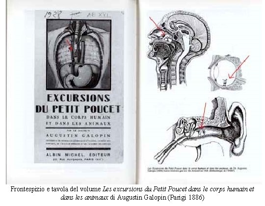 Frontespizio e tavola del volume Les excursions du Petit Poucet dans le corps humain