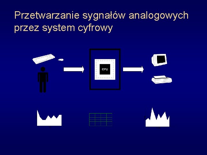 Przetwarzanie sygnałów analogowych przez system cyfrowy 