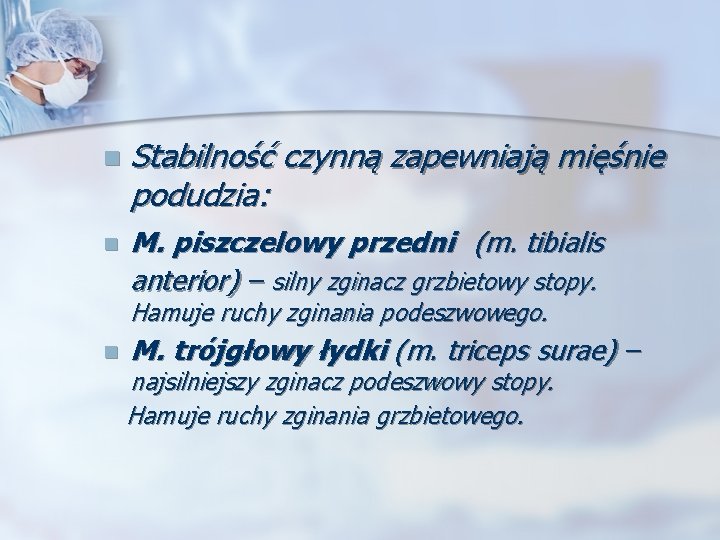 n n Stabilność czynną zapewniają mięśnie podudzia: M. piszczelowy przedni (m. tibialis anterior) –