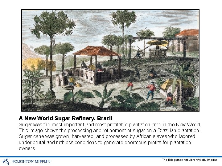 A New World Sugar Refinery, Brazil Sugar was the most important and most profitable