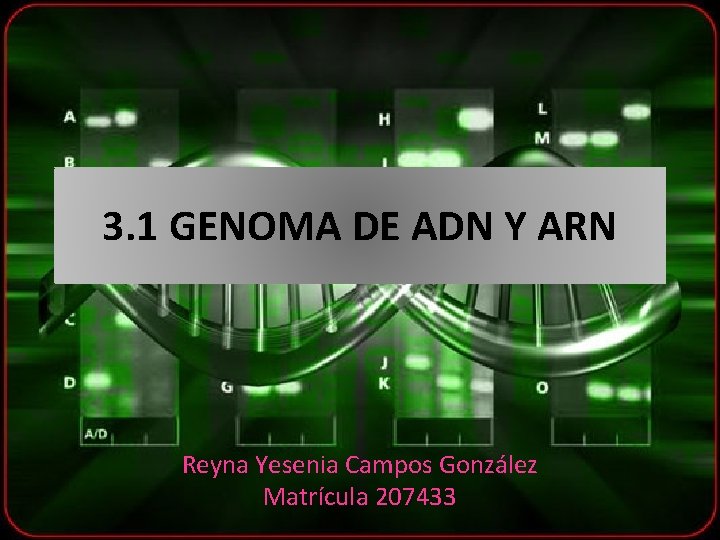 3. 1 GENOMA DE ADN Y ARN Reyna Yesenia Campos González Matrícula 207433 