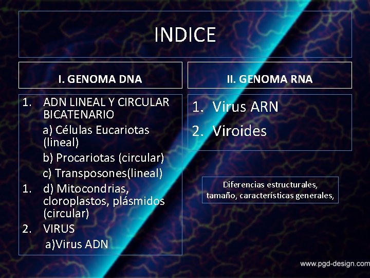 INDICE I. GENOMA DNA 1. ADN LINEAL Y CIRCULAR BICATENARIO a) Células Eucariotas (lineal)