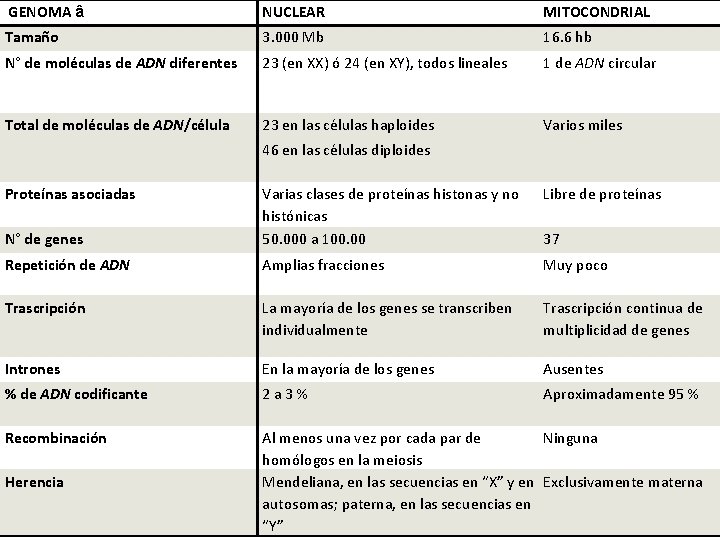  GENOMA â NUCLEAR MITOCONDRIAL Tamaño 3. 000 Mb 16. 6 hb N° de