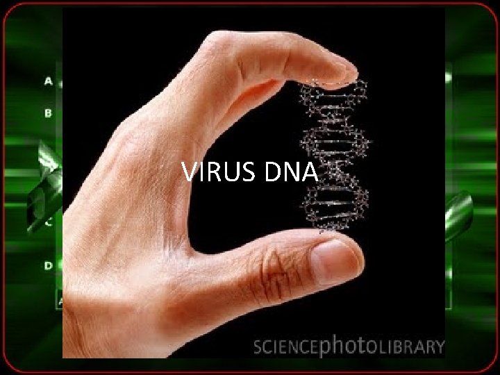 VIRUS DNA 