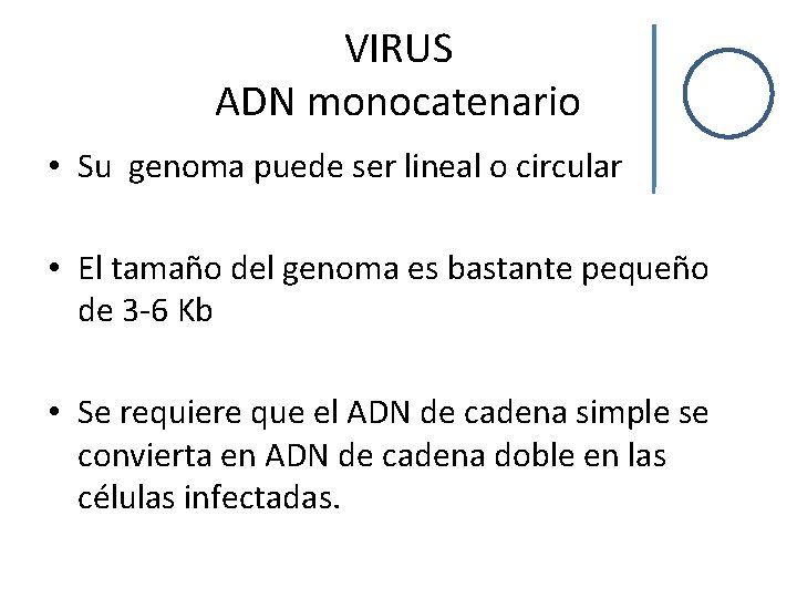VIRUS ADN monocatenario • Su genoma puede ser lineal o circular • El tamaño