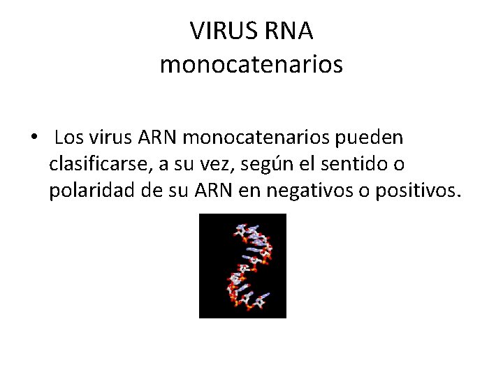 VIRUS RNA monocatenarios • Los virus ARN monocatenarios pueden clasificarse, a su vez, según