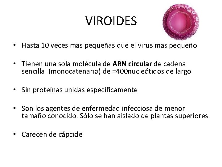 VIROIDES • Hasta 10 veces mas pequeñas que el virus mas pequeño • Tienen