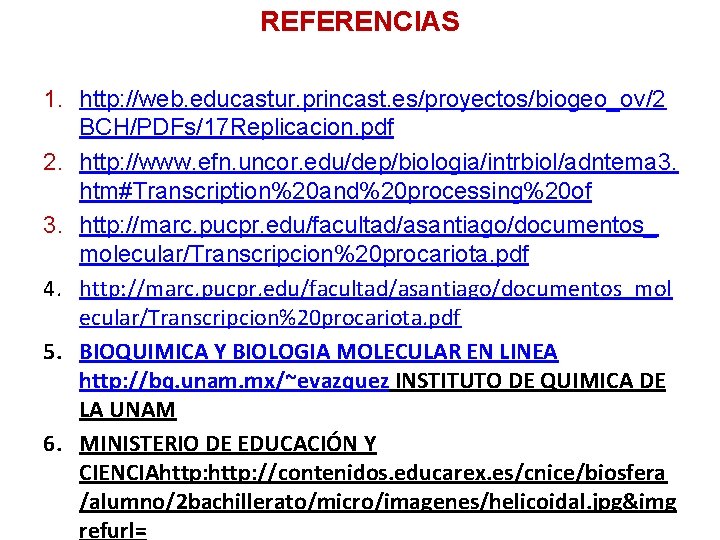 REFERENCIAS 1. http: //web. educastur. princast. es/proyectos/biogeo_ov/2 BCH/PDFs/17 Replicacion. pdf 2. http: //www. efn.