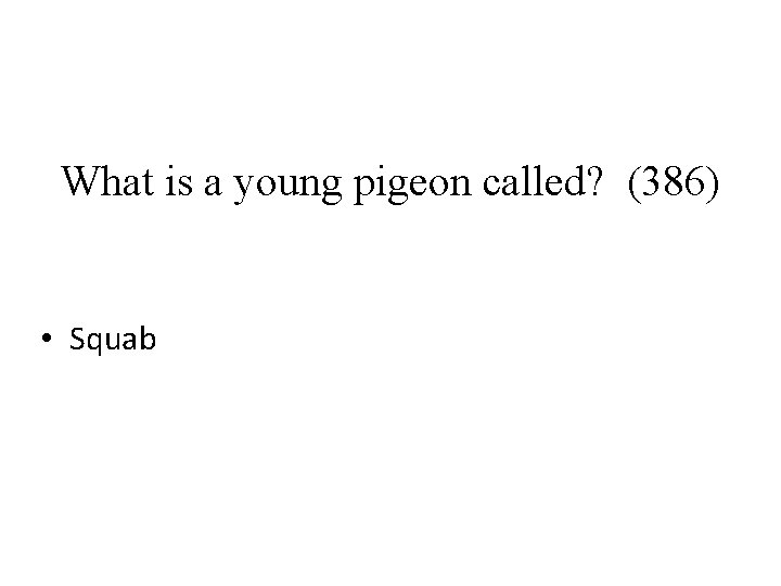 What is a young pigeon called? (386) • Squab 