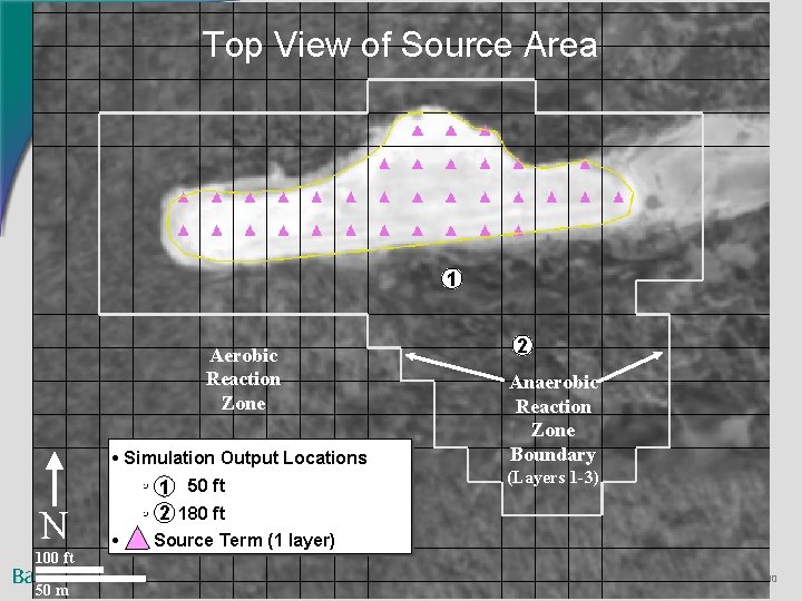 Top View of Source Area 1 Aerobic Reaction Zone • Simulation Output Locations N Top View of Source Area 1 Aerobic Reaction Zone • Simulation Output Locations N