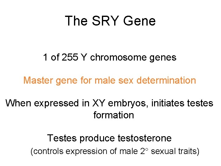 The SRY Gene 1 of 255 Y chromosome genes Master gene for male sex