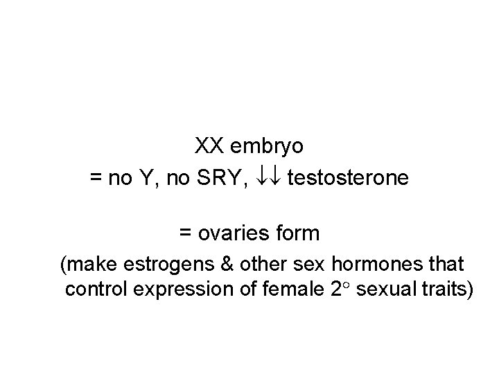 XX embryo = no Y, no SRY, testosterone = ovaries form (make estrogens &