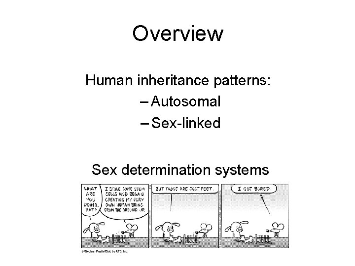 Overview Human inheritance patterns: – Autosomal – Sex-linked Sex determination systems 
