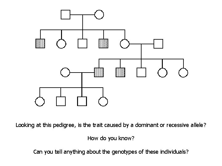 Looking at this pedigree, is the trait caused by a dominant or recessive allele?