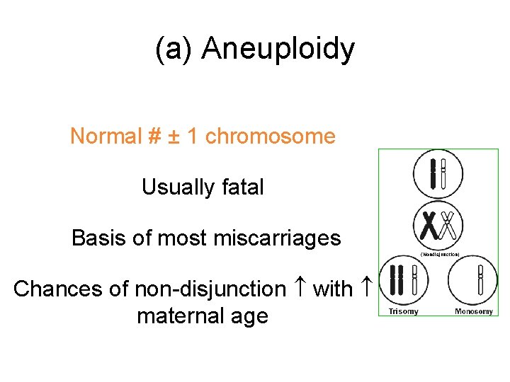 (a) Aneuploidy Normal # ± 1 chromosome Usually fatal Basis of most miscarriages Chances