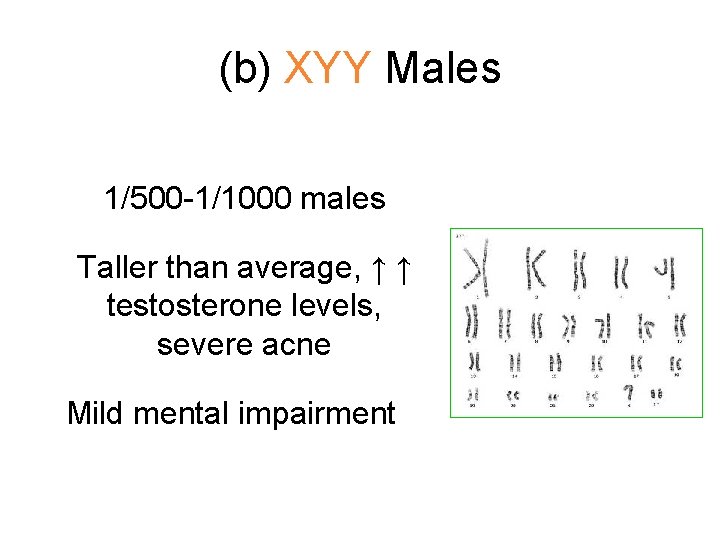 (b) XYY Males 1/500 -1/1000 males Taller than average, ↑ ↑ testosterone levels, severe