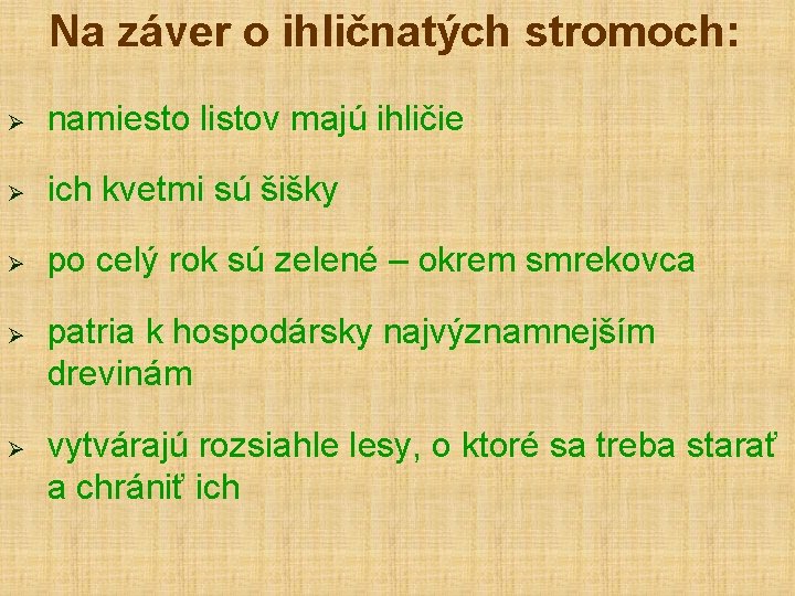 Na záver o ihličnatých stromoch: Ø namiesto listov majú ihličie Ø ich kvetmi sú Na záver o ihličnatých stromoch: Ø namiesto listov majú ihličie Ø ich kvetmi sú