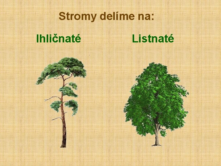 Stromy delíme na: Ihličnaté Listnaté 