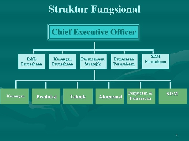 Struktur Fungsional Chief Executive Officer R&D Perusahaan Keuangan Perusahaan Produksi Perencanaan Stratejik Teknik Pemasaran