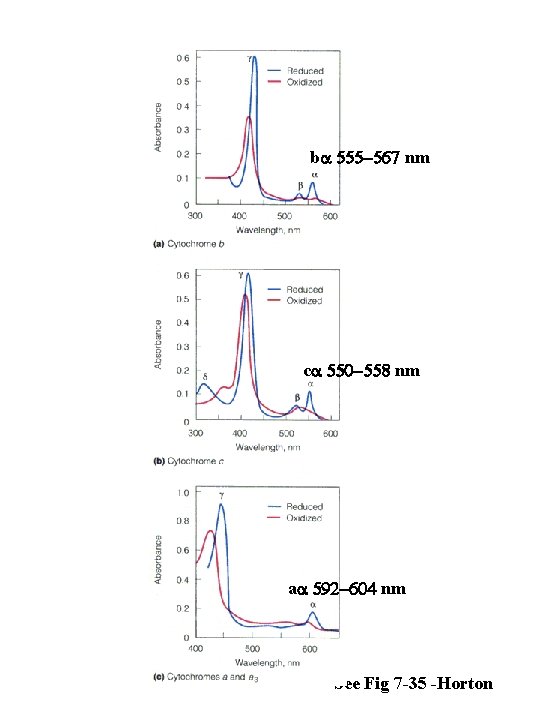 ba 555 -567 nm ca 550 -558 nm aa 592 -604 nm See Fig