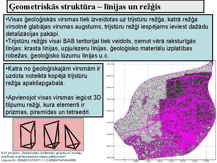 Ģeometriskās struktūra – līnijas un režģis • Visas ģeoloģiskās virsmas tiek izveidotas uz trijstūru