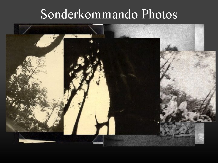 Sonderkommando Photos • Four blurred photographs were taken in August 1944 inside the Auschwitz
