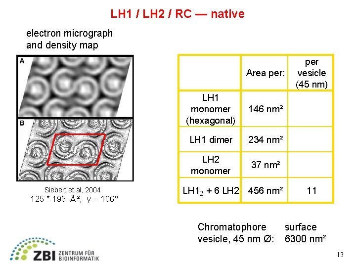 LH 1 / LH 2 / RC — native electron micrograph and density map