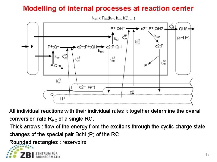 Modelling of internal processes at reaction center All individual reactions with their individual rates