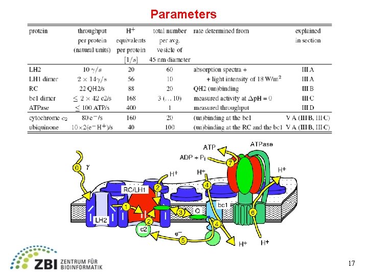 Parameters 17 