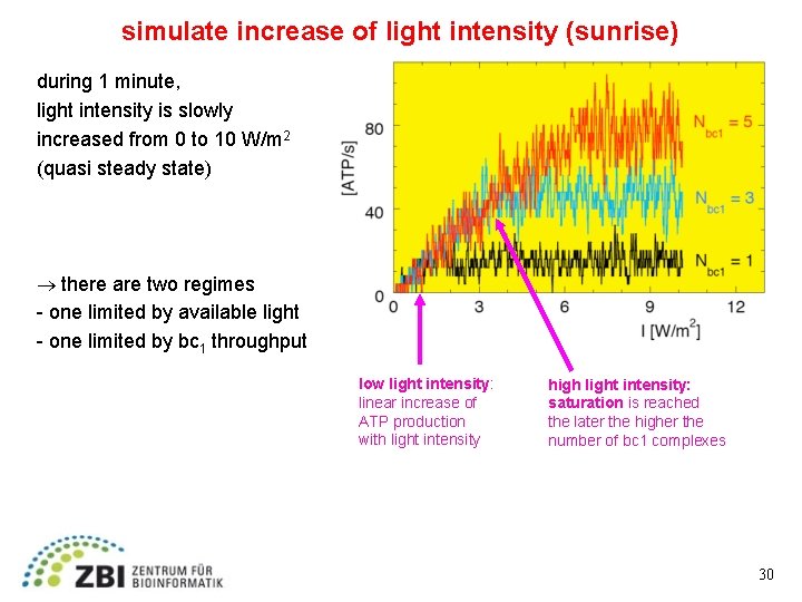 simulate increase of light intensity (sunrise) during 1 minute, light intensity is slowly increased