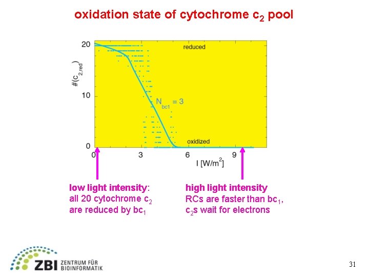 oxidation state of cytochrome c 2 pool low light intensity: all 20 cytochrome c