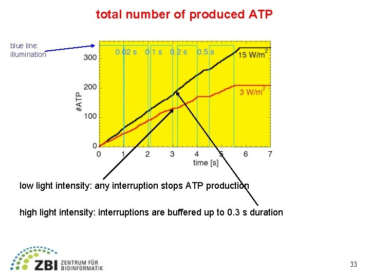 total number of produced ATP blue line: illumination low light intensity: any interruption stops