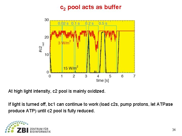 c 2 pool acts as buffer At high light intensity, c 2 pool is