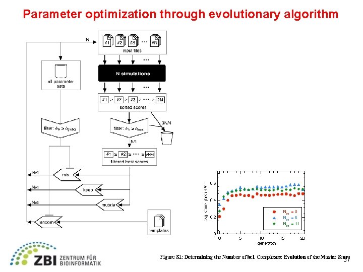 Parameter optimization through evolutionary algorithm 37 