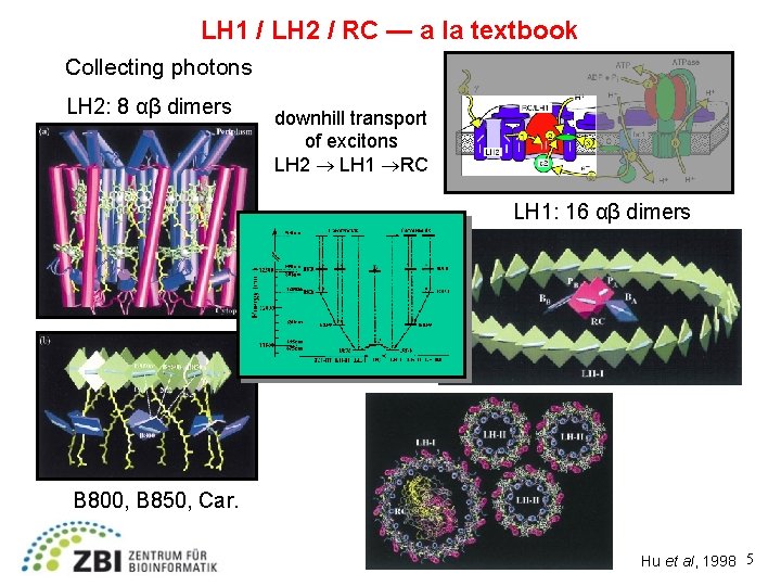 LH 1 / LH 2 / RC — a la textbook Collecting photons LH