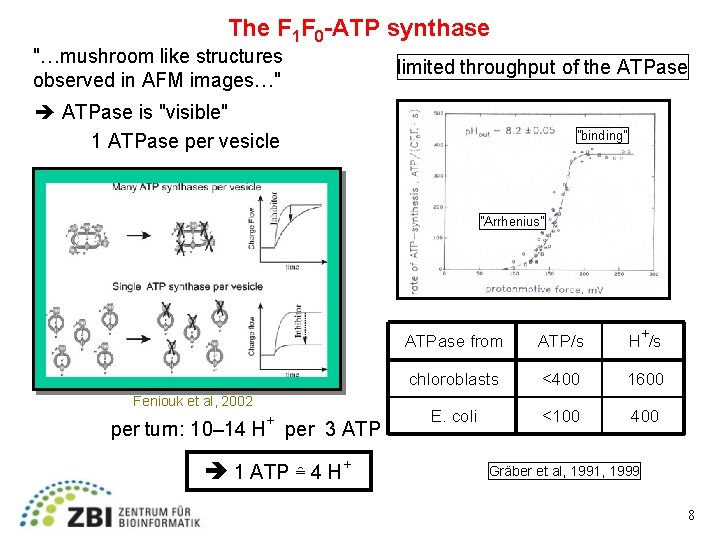 The F 1 F 0 -ATP synthase "…mushroom like structures observed in AFM images…"