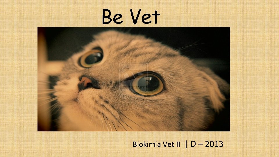 Be Vet Biokimia Vet II | D – 2013 