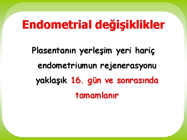 Endometrial değişiklikler Plasentanın yerleşim yeri hariç endometriumun rejenerasyonu yaklaşık 16. gün ve sonrasında tamamlanır