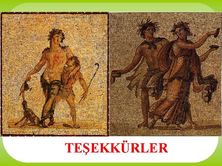 TEŞEKKÜRLER 