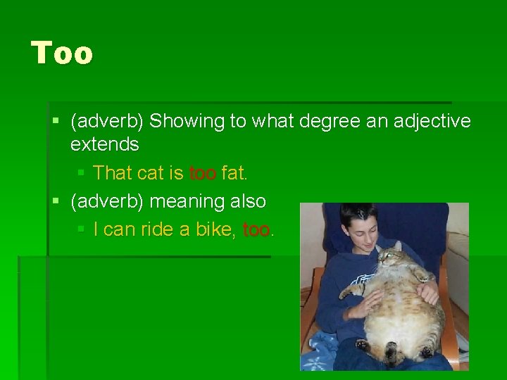 Too § (adverb) Showing to what degree an adjective extends § That cat is