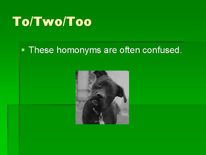 To/Two/Too § These homonyms are often confused. 